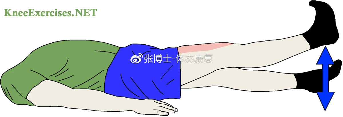 篮球训练视频教学软件下载大全安卓_0