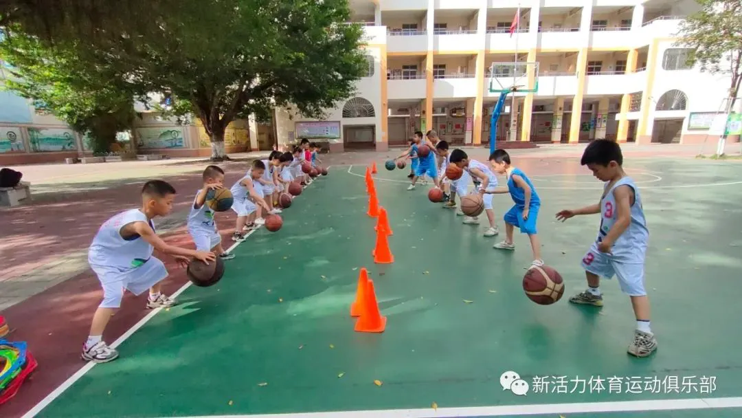 如何根据体型制定个性化的篮球训练方案_0